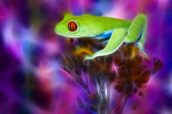 Fractal Green Frog, colorful, flower, green, frog, fractal HD wallpaper