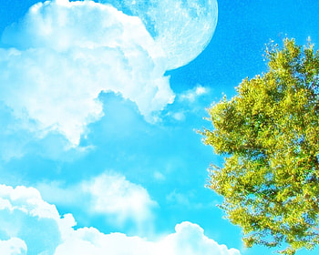 Day Light Moon, day, 3d, moon, clouds, sky, tree HD wallpaper