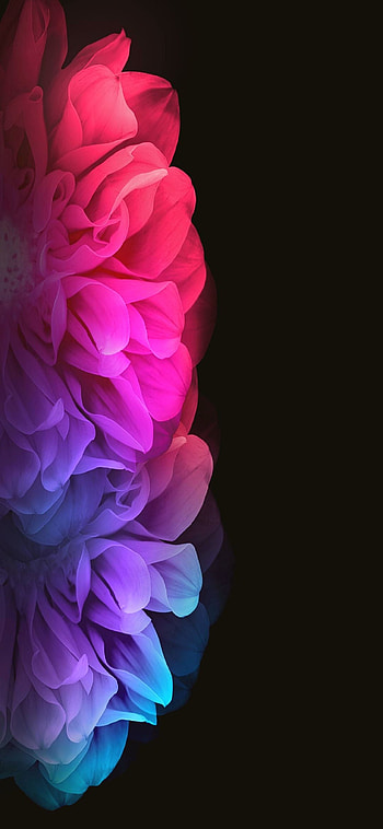 Beautiful AMOLED Full Android 1080×2340 ⋆ Traxzee, AMOLED Flower HD phone wallpaper
