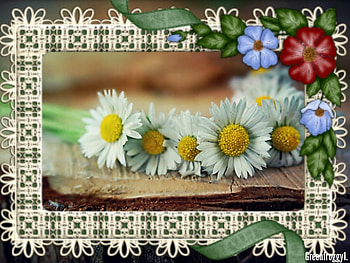 LOVELY FLOWERS, FLOWERS, LOVELY, FRAMED HD wallpaper