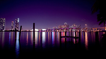 Miami, Miami background, Miami , City skyline HD wallpaper