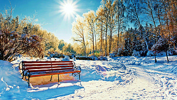 Sunny day in winter, trees, bench, sunrays, snow, sky HD wallpaper