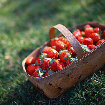 Strawberries, basket, wood, green, health, red, food HD wallpaper