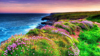 Irish countryside , Stunning landscapes, Captivating views, Serene beauty HD wallpaper