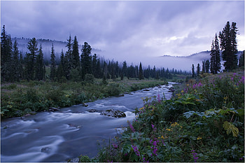 Misty day, river, landscape, grass, rocks, overcast, mist, fog, clouds, trees, mountains, water, forest HD wallpaper