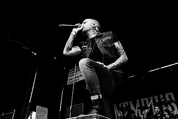 Memphis May Fire (Music), Warped Tour , Band performances, Music festival HD wallpaper