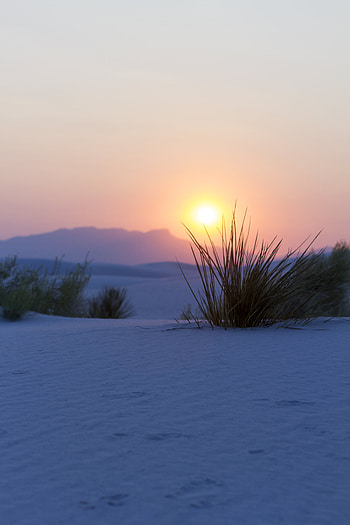 Landscape, Nature, Sunset, Mountains, Snow, Bush HD phone wallpaper