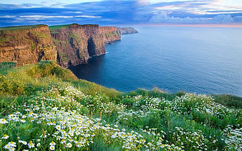 Cliffs Of Moher, Co Clare, Ireland, sea, blossoms, clouds, flowers, sky, cliff HD wallpaper