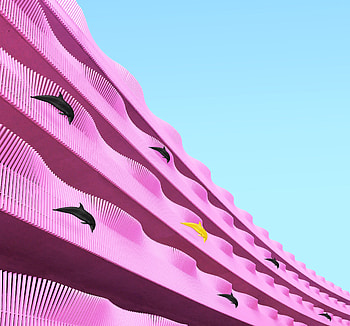 Dolfins, Pink, Architecture, Building, Miscellanea, Miscellaneous, Wavy, Facade HD wallpaper