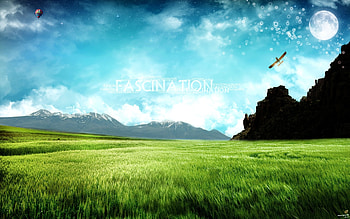 Landscape, Grass HD wallpaper