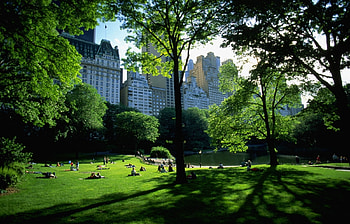 Landscape, Houses, Trees, Architecture, Parks HD wallpaper