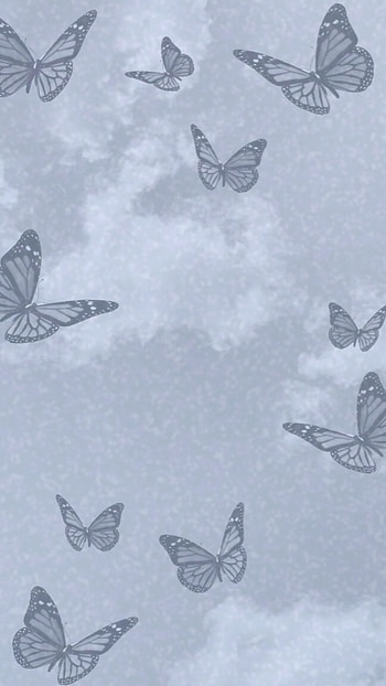 Aesthetic, butterfly HD phone wallpaper