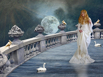 Birds in the Night, night, birds, moon, woman HD wallpaper