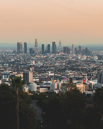 Hollywood Skyline, Iconic graphs, Sunset Strip, Saharan Hotel HD phone wallpaper