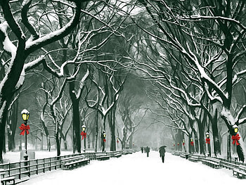 Winter spirit in New York, winter, colorful, beautiful, ny, magical, snow, christmas, alley, splendor HD wallpaper