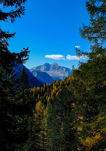 Landscape, Nature, Trees, Mountains, Autumn, Branches, Overview, Review HD phone wallpaper