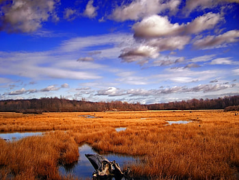 Landscape, Rivers, Clouds HD wallpaper
