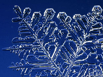 snowflake, nature, snow HD wallpaper