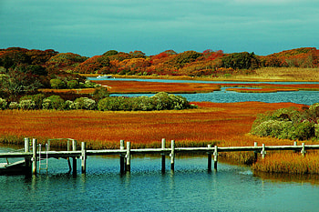 Fall fairs and festivals, Arts and culture, Massachusetts, Seasonal events HD wallpaper