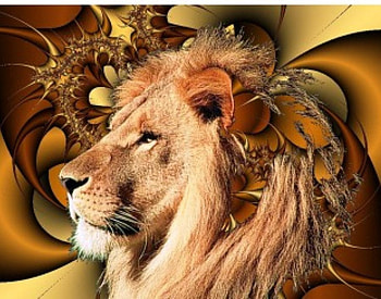 Leo the Lion, animal, lion HD wallpaper