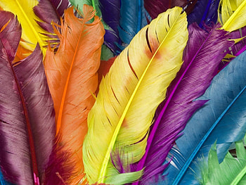 Background, Feather HD wallpaper