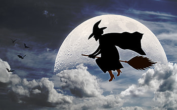Halloween-Broom-Stick-Witch-- HD wallpaper
