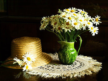 Still life, vase, beautiful, nice, daisies, pretty, flowers, lovely, hat HD wallpaper