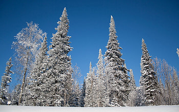 Landscape, Winter, Nature, Trees, Sky, Snow, Frost, Hoarfrost, Ate HD wallpaper