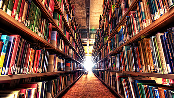 Library, Background, Interior, Study HD wallpaper