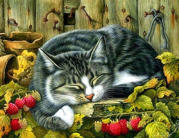 Cute Sleeping, strawberries, attractions in dreams, fall, cats, cute, paintings, love four seasons, animals, autumn, draw and paint, sleep HD wallpaper