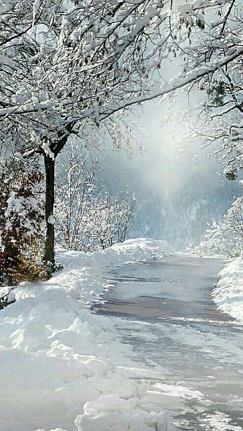 Snow, White, White Snow HD phone wallpaper