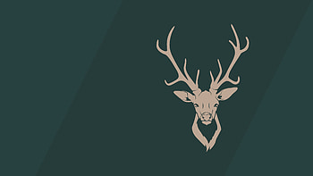Oh Deer HD wallpaper
