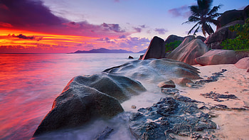 Micro graphy, Seychelles HD wallpaper