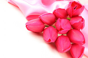 Pink tulips, pink, bouquet, ribbon, beautiful, flowers, tulips HD wallpaper