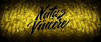 Natus Vincere eSports Team - CS:GO Edition, video game, esports, Natus Vincere, Counter Strike HD wallpaper