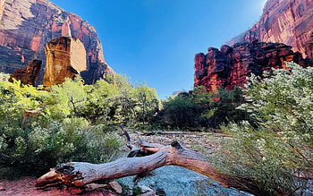 Zion National Park, Utah, water, rocks, stones, trees, sky, usa HD wallpaper