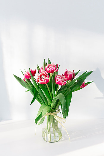 Flowers, Pink, Tulips, Bouquet, Vase HD phone wallpaper