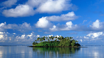 Landscape, Sea, Palms HD wallpaper