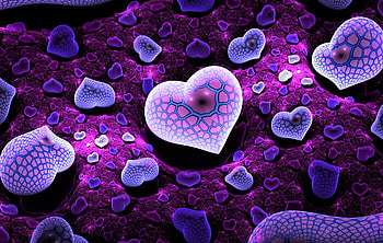 sweet love, sweet, heart, love, dream HD wallpaper