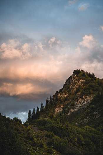 Nature, Trees, Sky, Mountains, Rocks, Slope HD phone wallpaper