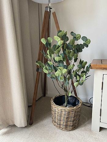 Small faux eucalyptus tree, Home decor, Accessories HD phone wallpaper