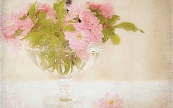* Beautiful and delicate *, bouquet, nature, flowers, flower HD wallpaper
