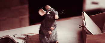 Ratatouille | Rat At Oui Lle, movie, Pixar, ratatouille, Remy (Ratatouille) HD wallpaper