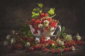 Currants, , Background HD wallpaper
