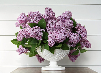 Flowers, Leaves, Lilac, Bouquet, Vase, Spring HD wallpaper
