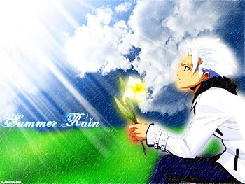 Summer Rain, summer, bleach, rain, toushirou, hitsugaya HD wallpaper