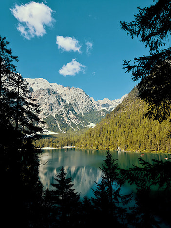 Landscape, Nature, Mountains, Lake, Branches, Fir, Spruce HD phone wallpaper