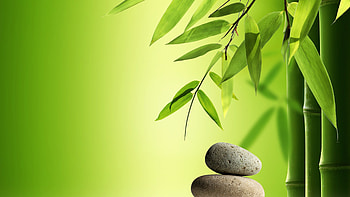 Bamboo , Striking background, High resolution, ID1197069 HD wallpaper