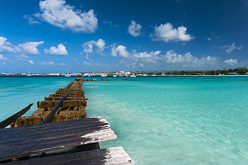 Barbados vacation, Tropical paradise, Mesmerizing beauty, Unspoiled nature HD wallpaper