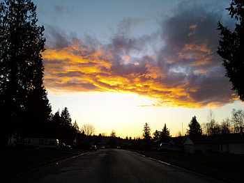 Orange Cloud, street, trees, sky, orange, sunset, cloud HD wallpaper